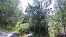 Lägenhet att hyra, Askim-Frölunda-Högsbo, &lt;span class=&quot;blurred street&quot; onclick=&quot;ProcessAdRequest(3224252)&quot;&gt;&lt;span class=&quot;hint&quot;&gt;Se gatunamn&lt;/span&gt;[xxxxxxxxxx]&lt;/span&gt;