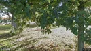 Lägenhet att hyra, Örgryte-Härlanda, &lt;span class=&quot;blurred street&quot; onclick=&quot;ProcessAdRequest(3228968)&quot;&gt;&lt;span class=&quot;hint&quot;&gt;Se gatunamn&lt;/span&gt;[xxxxxxxxxx]&lt;/span&gt;