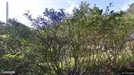 Rum att hyra, Lidingö, Ekholmsnäsvägen