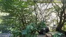 Lägenhet att hyra, Solna, &lt;span class=&quot;blurred street&quot; onclick=&quot;ProcessAdRequest(3285649)&quot;&gt;&lt;span class=&quot;hint&quot;&gt;Se gatunamn&lt;/span&gt;[xxxxxxxxxx]&lt;/span&gt;