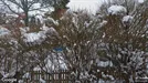 Lägenhet att hyra, Sigtuna, Rosersberg, &lt;span class=&quot;blurred street&quot; onclick=&quot;ProcessAdRequest(3310556)&quot;&gt;&lt;span class=&quot;hint&quot;&gt;Se gatunamn&lt;/span&gt;[xxxxxxxxxx]&lt;/span&gt;