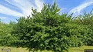Lägenhet att hyra, Staffanstorp, &lt;span class=&quot;blurred street&quot; onclick=&quot;ProcessAdRequest(3322049)&quot;&gt;&lt;span class=&quot;hint&quot;&gt;Se gatunamn&lt;/span&gt;[xxxxxxxxxx]&lt;/span&gt;