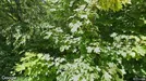 Lägenhet att hyra, Söderort, &lt;span class=&quot;blurred street&quot; onclick=&quot;ProcessAdRequest(3351259)&quot;&gt;&lt;span class=&quot;hint&quot;&gt;Se gatunamn&lt;/span&gt;[xxxxxxxxxx]&lt;/span&gt;