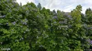 Lägenhet att hyra, Forshaga, Deje, &lt;span class=&quot;blurred street&quot; onclick=&quot;ProcessAdRequest(3354818)&quot;&gt;&lt;span class=&quot;hint&quot;&gt;Se gatunamn&lt;/span&gt;[xxxxxxxxxx]&lt;/span&gt;