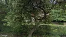 Lägenhet att hyra, Lomma, Alnarp, &lt;span class=&quot;blurred street&quot; onclick=&quot;ProcessAdRequest(3379753)&quot;&gt;&lt;span class=&quot;hint&quot;&gt;Se gatunamn&lt;/span&gt;[xxxxxxxxxx]&lt;/span&gt;
