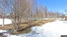 Lägenhet att hyra, Skellefteå, N Kustvägen - Ca. 55m2, Ca. 10 000&nbsp;kr.
