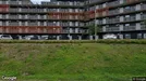 Lägenhet att hyra, Botkyrka, Tumba, Bergfotsvägen - Ca. 35m2, Ca. 7 000&nbsp;kr.