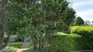 Lägenhet att hyra, Båstad, Sandbäcksvägen<span class="blurred street-number" onclick="ProcessAdRequest(3703647)"><span class="hint">Se väg-nr</span>[xxxxxxxx]</span> - Ca. 65m2