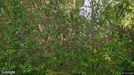 Lägenhet att hyra, Västerort, Adolfsbergsvägen<span class="blurred street-number" onclick="ProcessAdRequest(3704103)"><span class="hint">Se väg-nr</span>[xxxxxxxx]</span> - Ca. 20m2, Ca. 11 500&nbsp;kr.