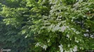 Lägenhet att hyra, Söderort, Övre Bergsvägen<span class="blurred street-number" onclick="ProcessAdRequest(3806717)"><span class="hint">Se väg-nr</span>[xxxxxxxx]</span>