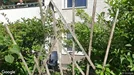 Lägenhet att hyra, Södermalm, Åsögatan<span class="blurred street-number" onclick="ProcessAdRequest(3850645)"><span class="hint">Se väg-nr</span>[xxxxxxxx]</span><span class="hglt"> (endast byte)</span>