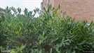 Lägenhet att hyra, Lund, Fjelievägen<span class="blurred street-number" onclick="ProcessAdRequest(3882488)"><span class="hint">Se väg-nr</span>[xxxxxxxx]</span><span class="hglt"> (endast byte)</span>