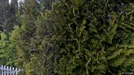 Lägenhet att hyra, Krokom, Herløgs vei<span class="blurred street-number" onclick="ProcessAdRequest(3917579)"><span class="hint">Se väg-nr</span>[xxxxxxxx]</span>