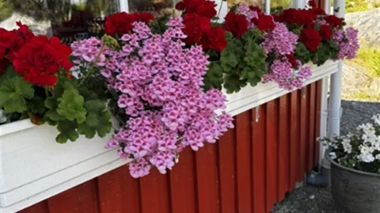 Hus i Kungälv - foto 9