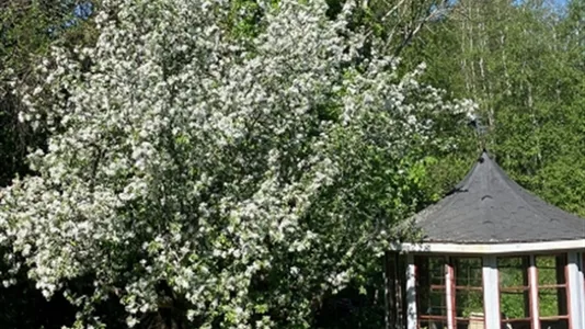 Lägenheter i Gävle - foto 13