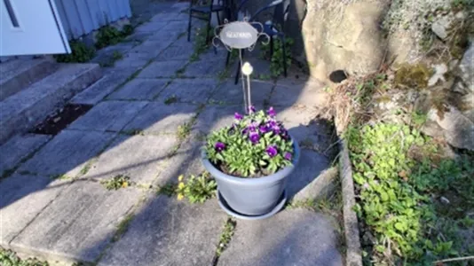 Lägenheter i Kungsbacka - foto 3
