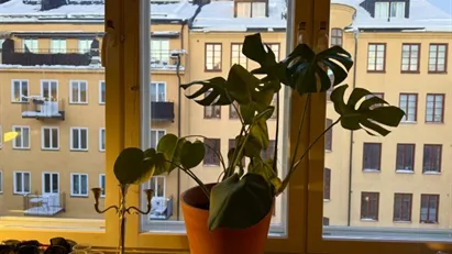 Södermalm - 1rok - 4mån - 13.800kr/mån