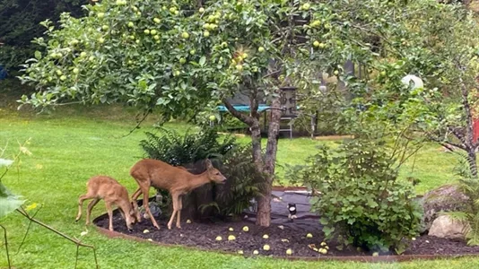 Hus i Lerum - foto 5