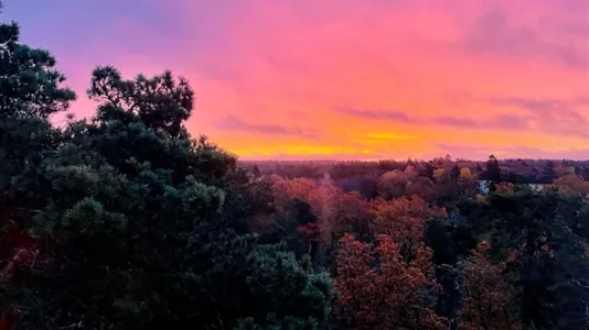 Lägenheter i Söderort - foto 10