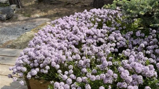 Hus i Huddinge - foto 7