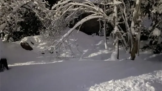 Lägenheter i Värmdö - foto 4