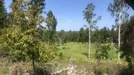 Lägenhet att hyra, Värmdö, &lt;span class=&quot;blurred street&quot; onclick=&quot;ProcessAdRequest(2905511)&quot;&gt;&lt;span class=&quot;hint&quot;&gt;Se gatunamn&lt;/span&gt;[xxxxxxxxxx]&lt;/span&gt;