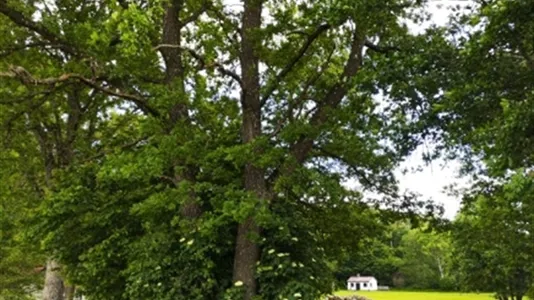 Hus i Sjöbo - foto 4