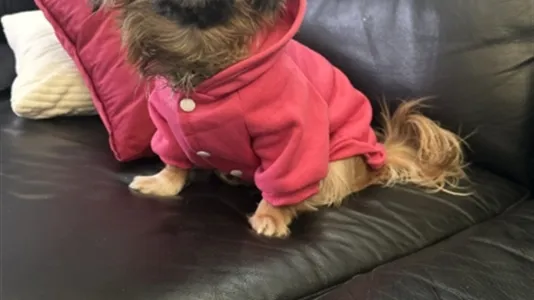 Lägenheter i Västerås - foto 10