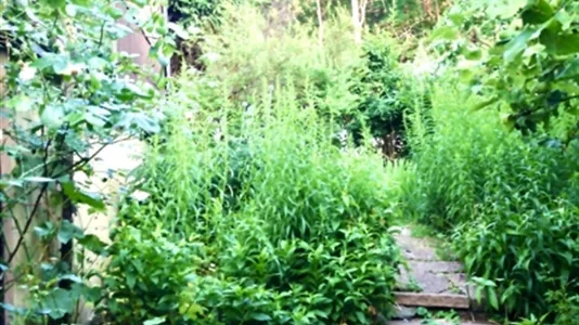 Hus i Söderort - foto 11