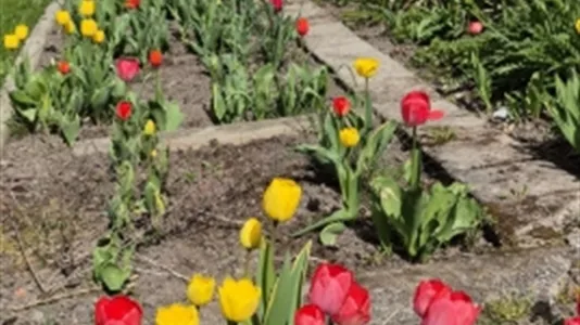 Hus i Flen - foto 3