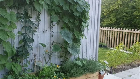 Hus i Malmö Centrum - foto 15