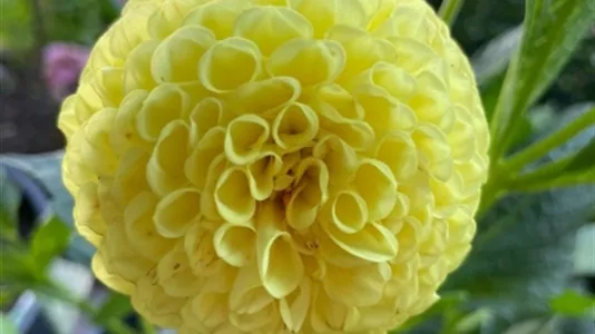 Hus i Mölndal - foto 8