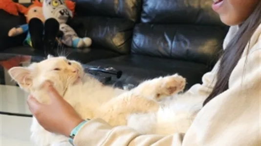 Rum i Nacka - foto 9