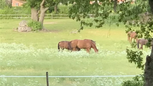 Lägenheter i Danderyd - foto 8