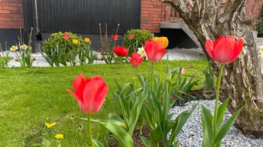 Hus i Vaggeryd - foto 10