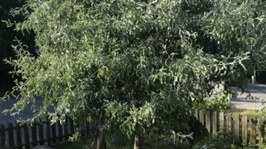 Hus i Ekerö - foto 8