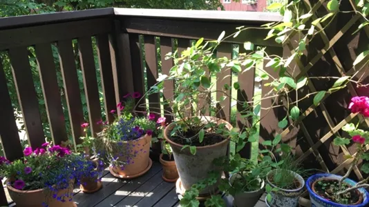 Lägenheter i Örgryte-Härlanda - foto 9