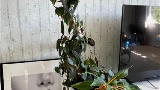 Lägenheter i Nacka - foto 10