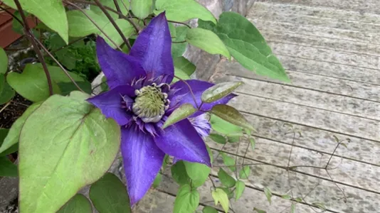 Hus i Värmdö - foto 13