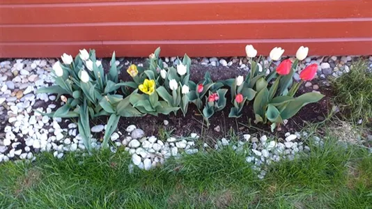 Hus i Västerort - foto 13