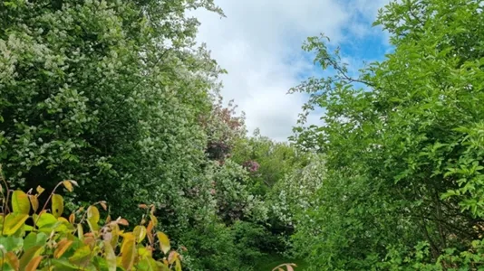 Lägenheter i Lund - foto 4