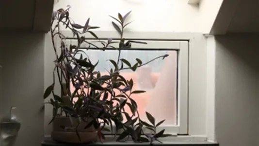 Lägenheter i Borås - foto 8