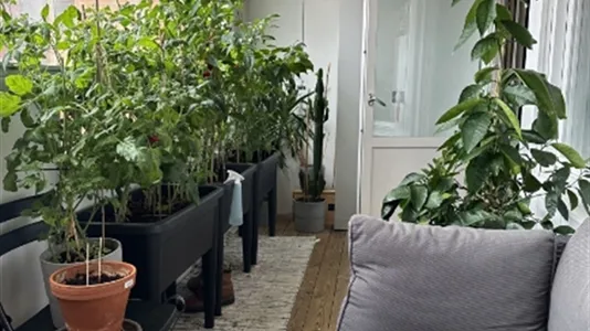 Lägenheter i Majorna-Linné - foto 12