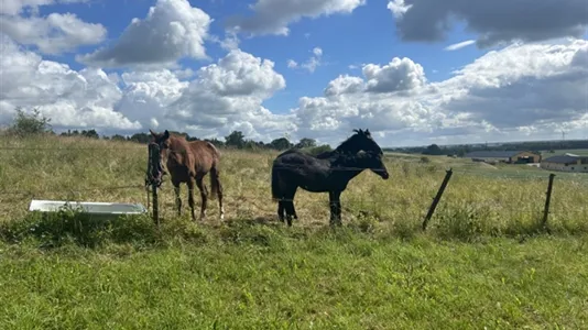 Hus i Kävlinge - foto 13