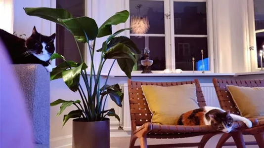 Lägenheter i Kungsholmen - foto 11