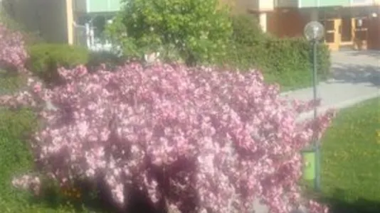 Lägenheter i Söderort - foto 5