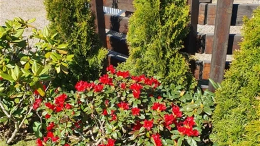 Hus i Ängelholm - foto 8