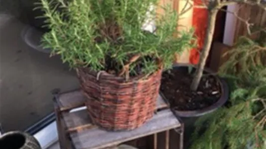 Hus i Ekerö - foto 6