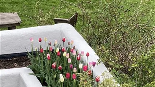 Hus i Haninge - foto 9