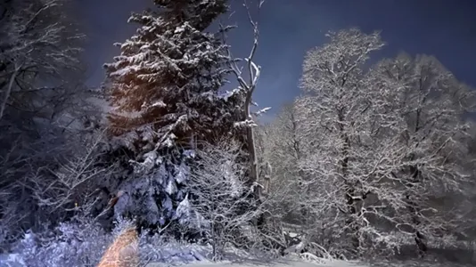 Hus i Tierp - foto 11